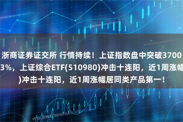 浙商证券证交所 行情持续!上证指数盘中突破3700点,寒武纪涨超13%,上证综合ETF(510980)冲击十连阳,近1周涨幅居同类产品第一!