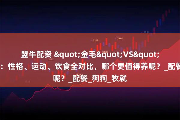 盟牛配资 "金毛"VS"边牧"：性格、运动、饮食全对比，哪个更值得养呢？_配餐_狗狗_牧就