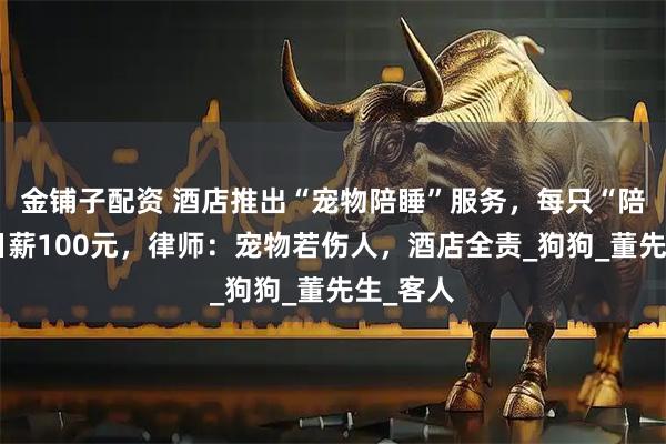 金铺子配资 酒店推出“宠物陪睡”服务,每只“陪睡犬”日薪100元,律师:宠物若伤人,酒店全责_狗狗_董先生_客人