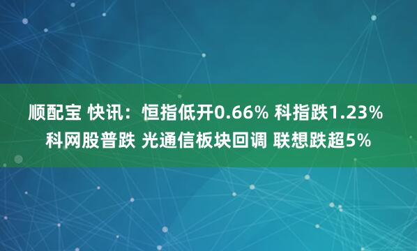 顺配宝 快讯：恒指低开0.66% 科指跌1.23% 科网股普跌 光通信板块回调 联想跌超5%