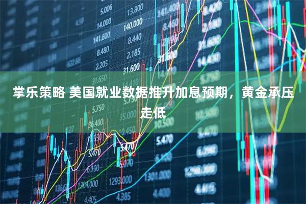 掌乐策略 美国就业数据推升加息预期，黄金承压走低
