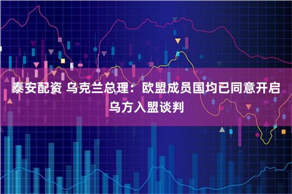 泰安配资 乌克兰总理：欧盟成员国均已同意开启乌方入盟谈判
